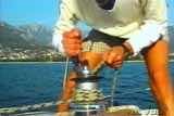 Yachting Adria