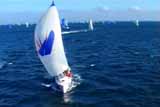Regata
