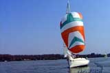 Zemunska regata