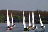 Zemunska regata