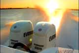 Evinrude - Argo