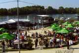 Fish Fest 2007