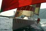 Alligator Sailing Team