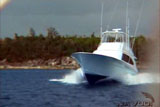 Bermuda